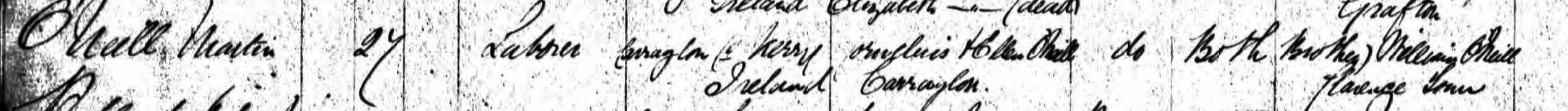 Martin O'Neill immigration 1