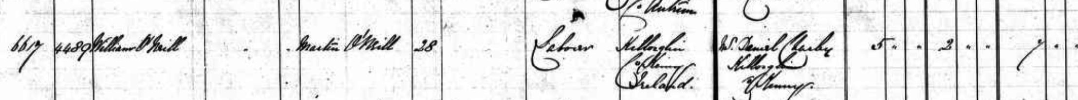 Martin O'Neill immigration 2